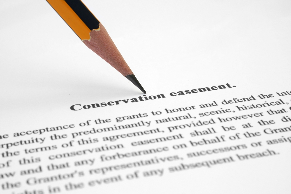 One-Two Punches to Conservation Easements